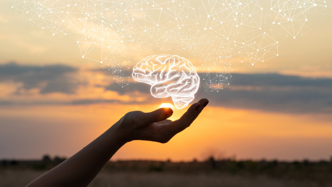 Person holding an illustration of a brain