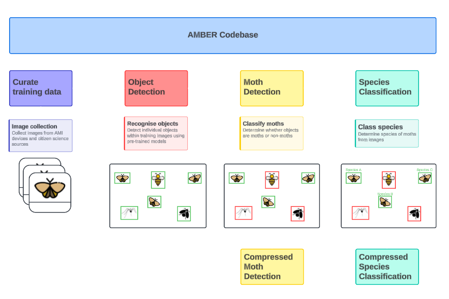 Amber Codebade: Data curation, Object Detection, Moth Detection, Species Classification