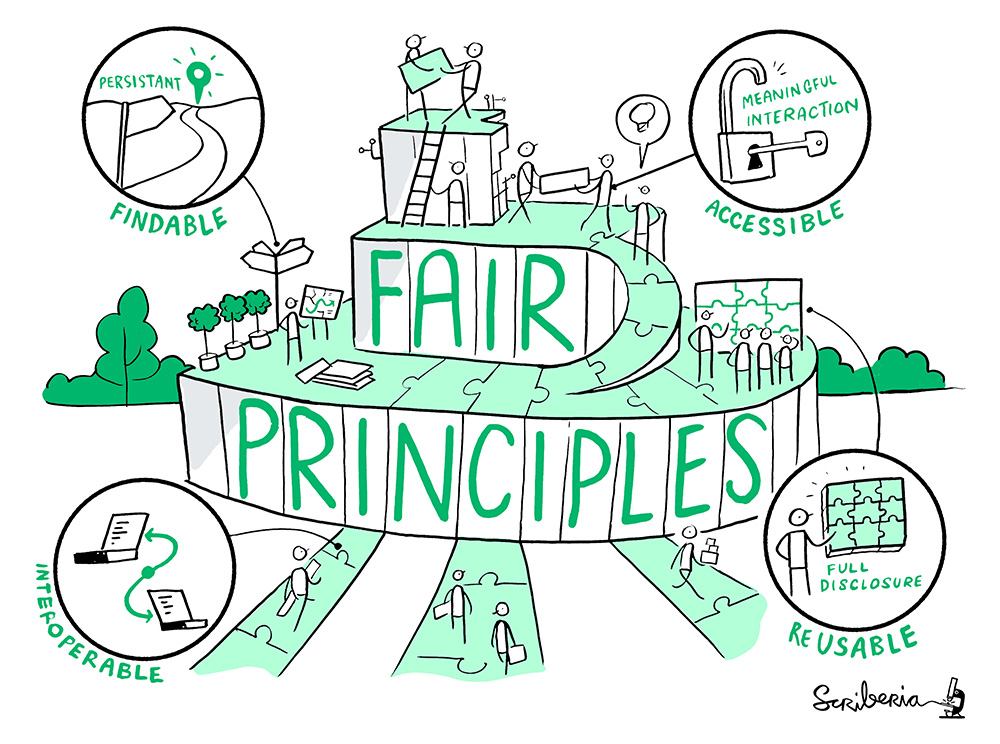 Fair principles
