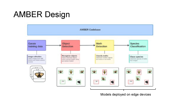 AMBER codebase diagram showing the structure 