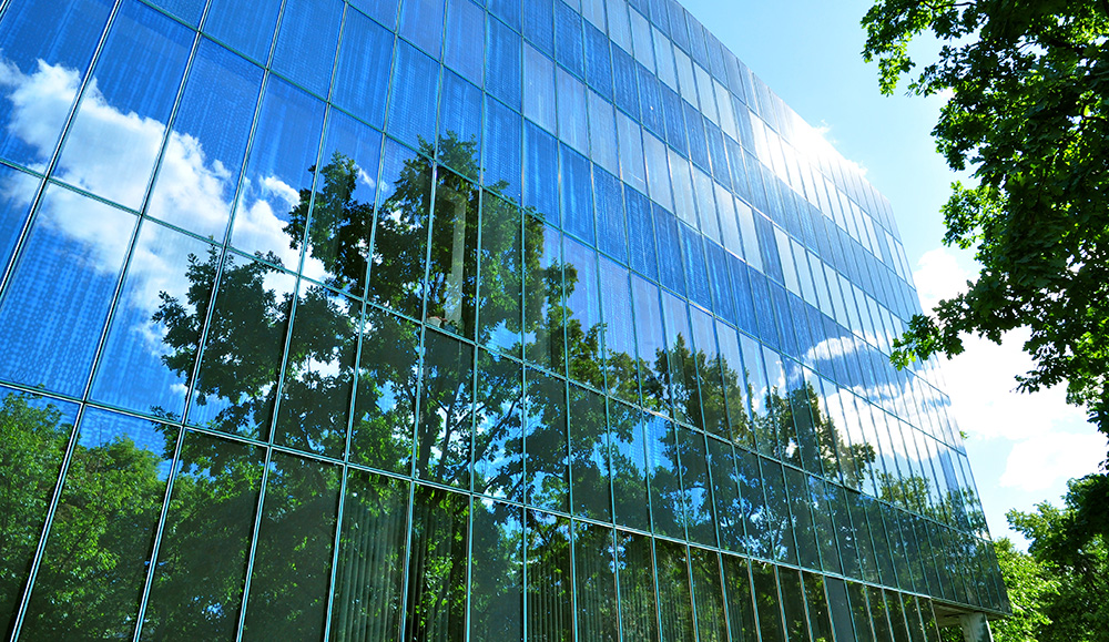 Reflection of trees in the windows of an office block