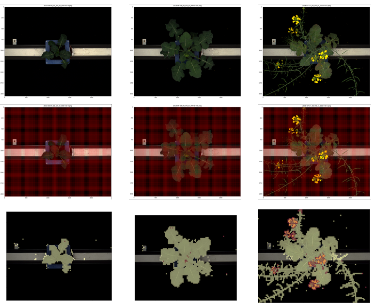 Diagram comprised of 3x3 boxes showing AI software analysing plant images