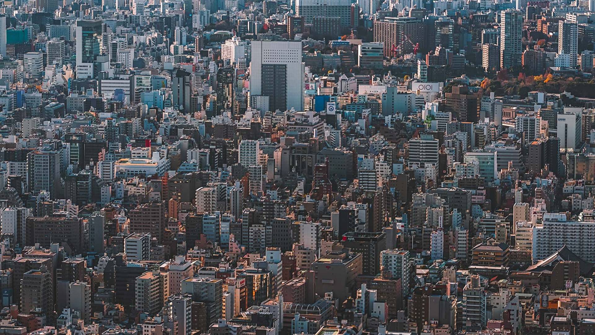cityscape