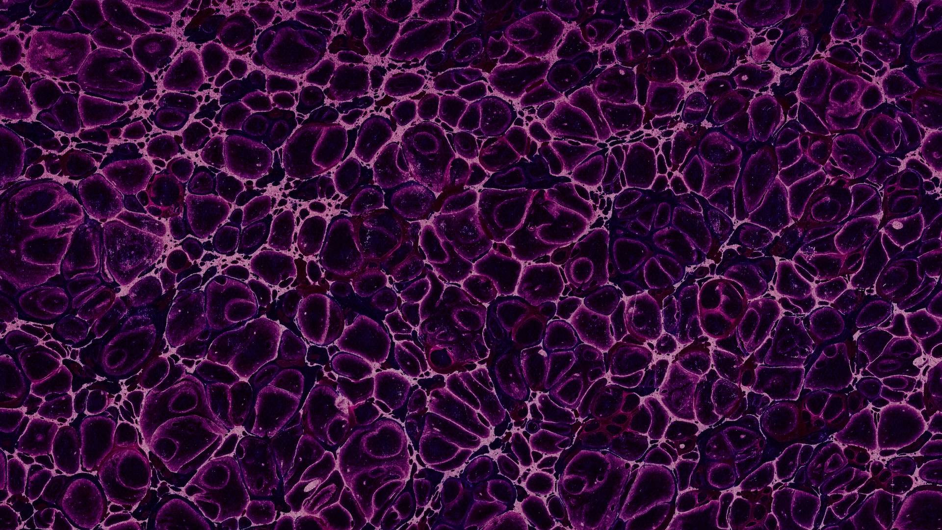 purple cells connected
