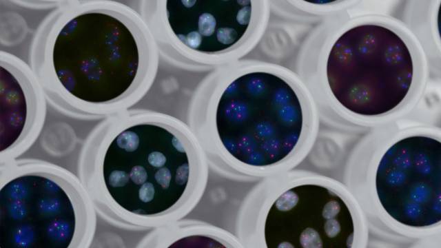 3D rendering of cells