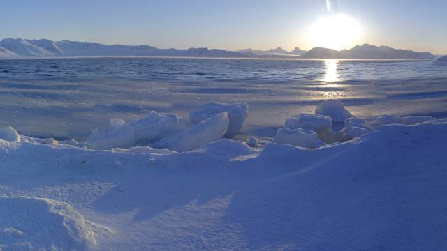 Arctic Sea Ice