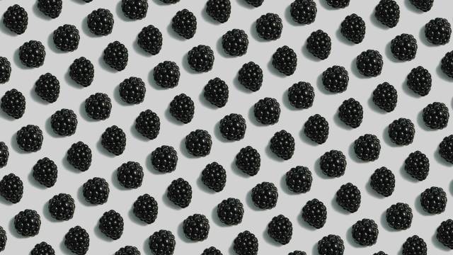 Blackberries on a white background