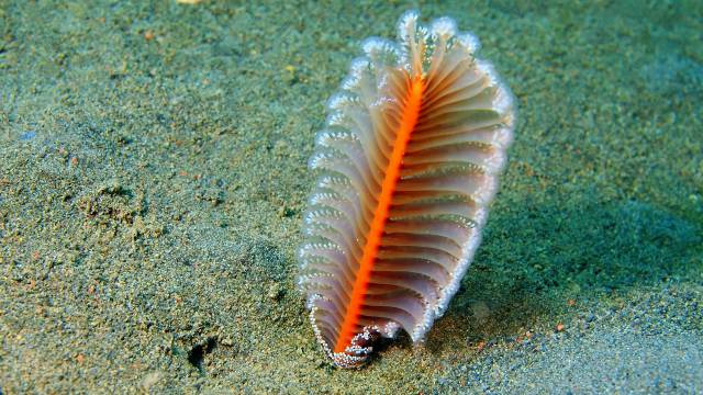 impactstory_oceanfloor_hero